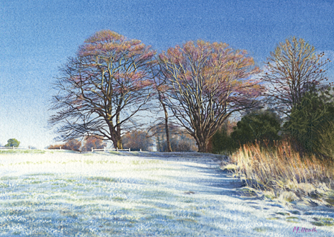 A watercolour painting of Box Hill, Surrey on a frosty winter morning by Margaret Heath.