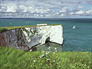 An oil painting of Handfast Point, Dorset by Margaret Heath.